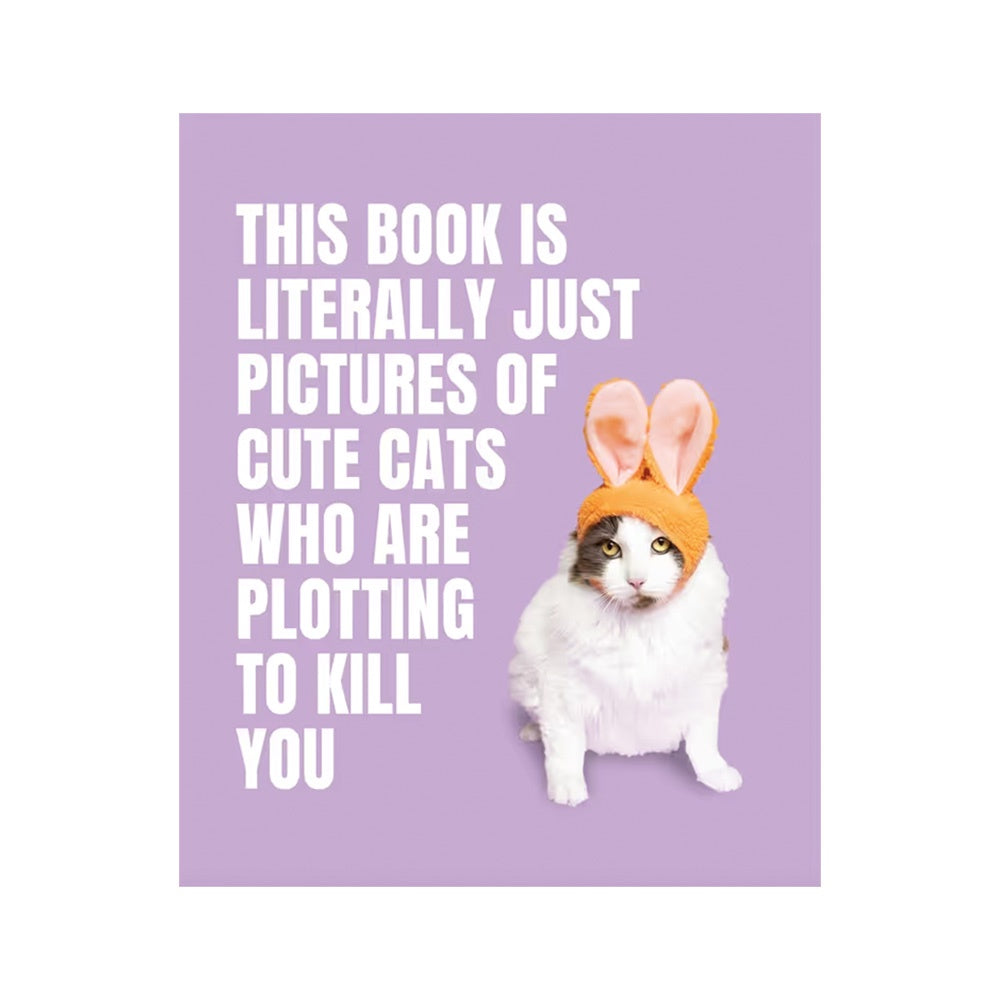 THIS BOOK IS LITERALLY PICTURES OF CATS WHO ARE PLOTTING TO KILL YOU