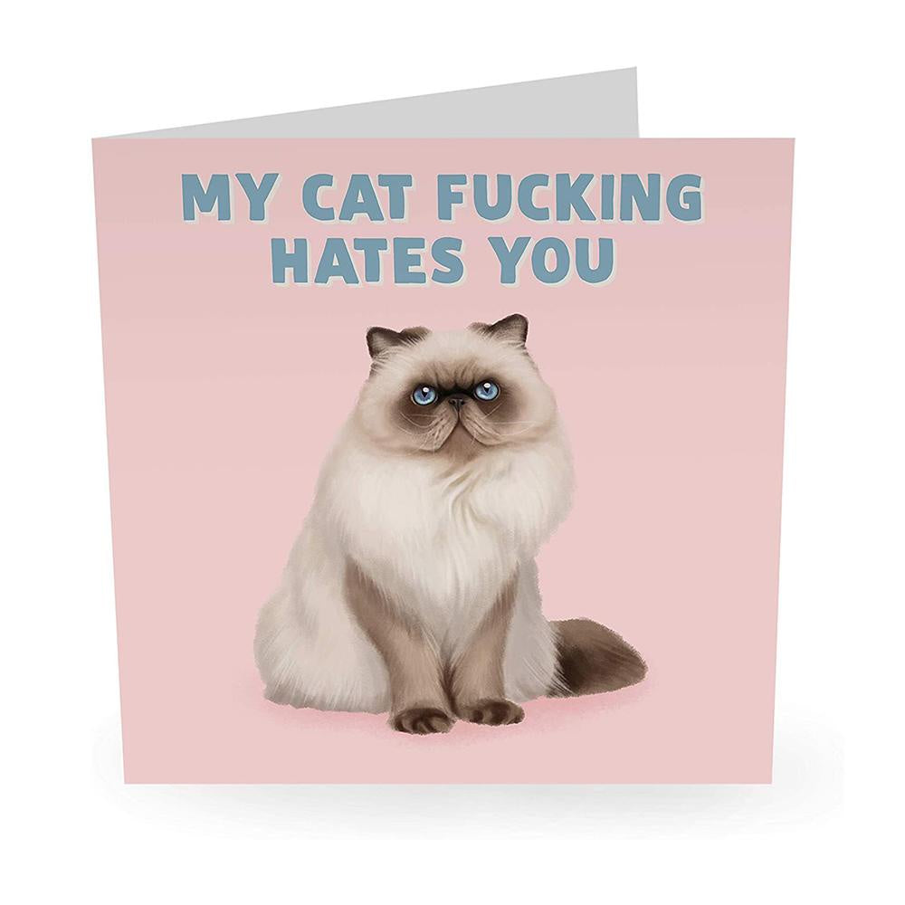 MY CAT FUCKING HATES YOU