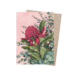 PINK WARATAH